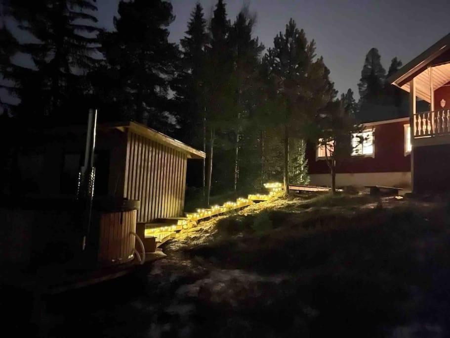 Mountain Cabin לופסדאלן מראה חיצוני תמונה