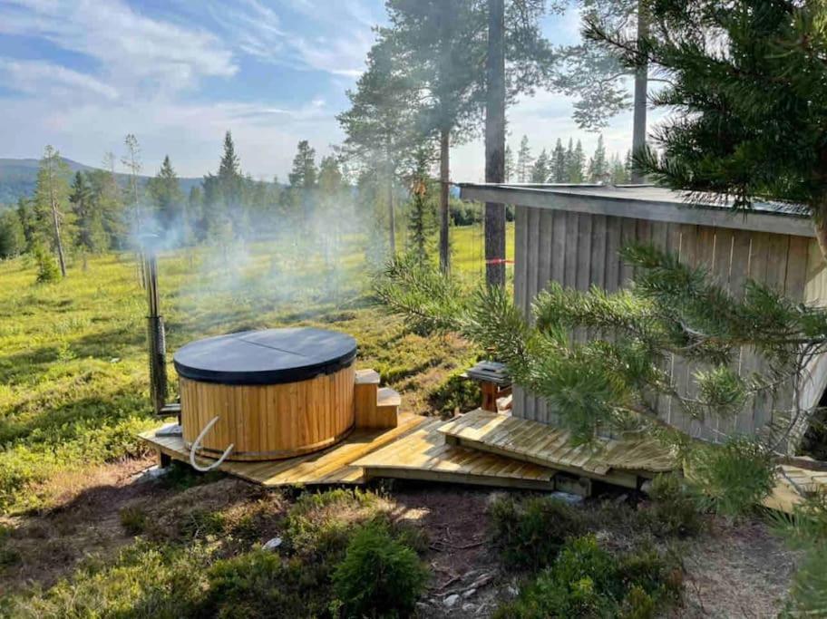 Mountain Cabin לופסדאלן מראה חיצוני תמונה