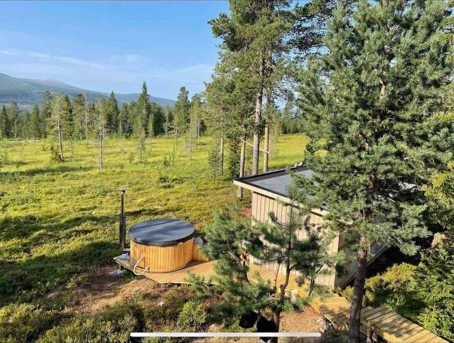 Mountain Cabin לופסדאלן מראה חיצוני תמונה