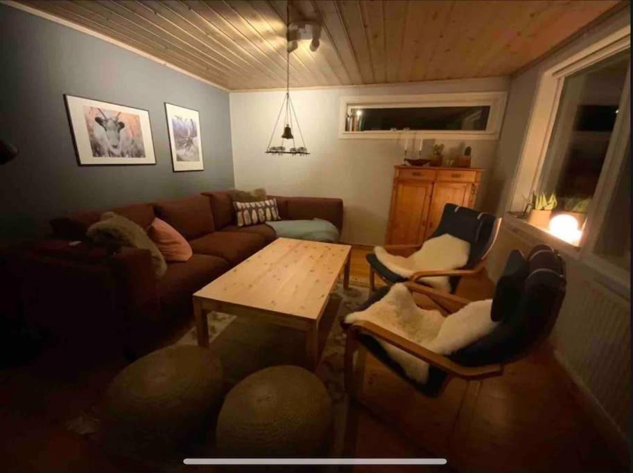 Mountain Cabin לופסדאלן מראה חיצוני תמונה