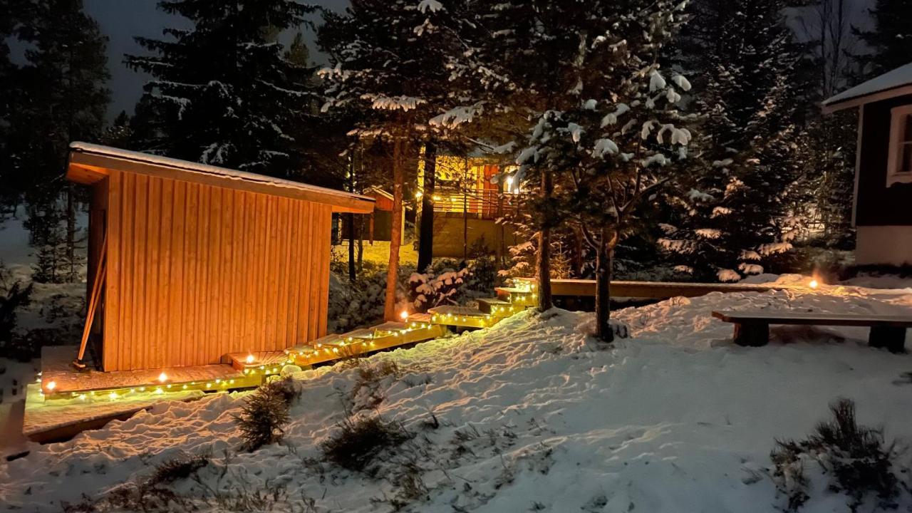 Mountain Cabin לופסדאלן מראה חיצוני תמונה