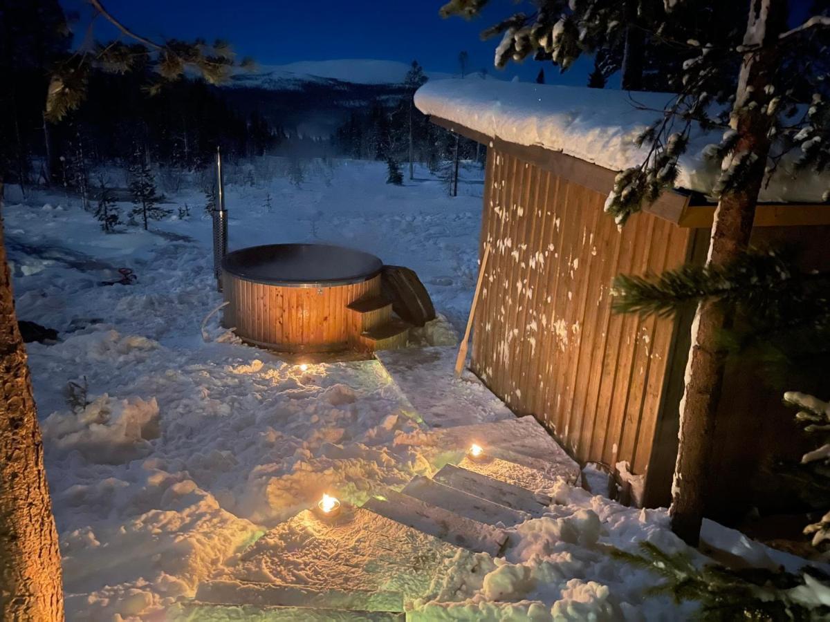 Mountain Cabin לופסדאלן מראה חיצוני תמונה