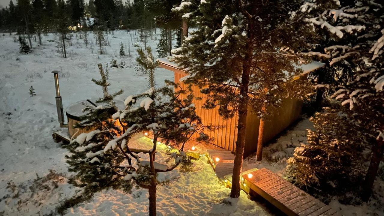 Mountain Cabin לופסדאלן מראה חיצוני תמונה